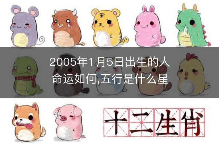 2005年1月5日出生的人命運(yùn)如何,五行是什么星座