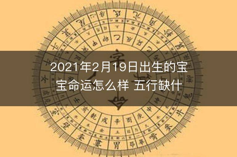 2021年2月19日出生的寶寶命運怎么樣 五行缺什么嗎