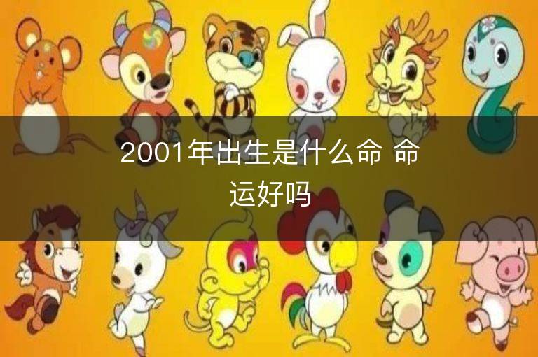 2001年出生是什么命 命運好嗎