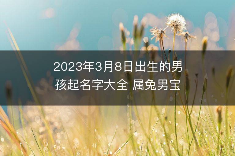 2023年3月8日出生的男孩起名字大全 屬兔男寶寶取名