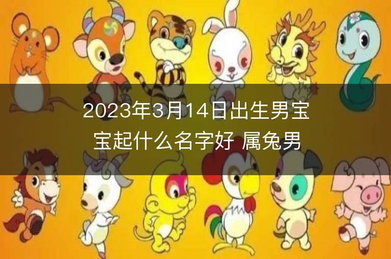 2023年3月14日出生男寶寶起什么名字好 屬兔男孩洋氣名字