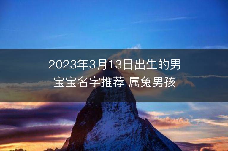 2023年3月13日出生的男寶寶名字推薦 屬兔男孩寶取名大全