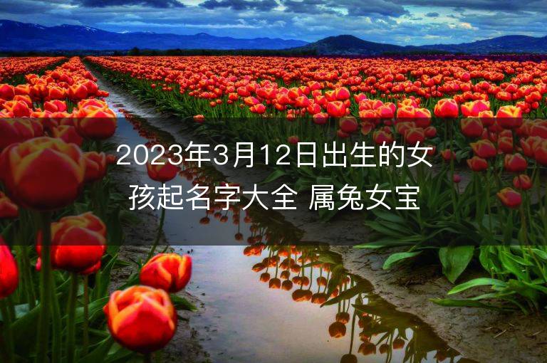 2023年3月12日出生的女孩起名字大全 屬兔女寶寶取名