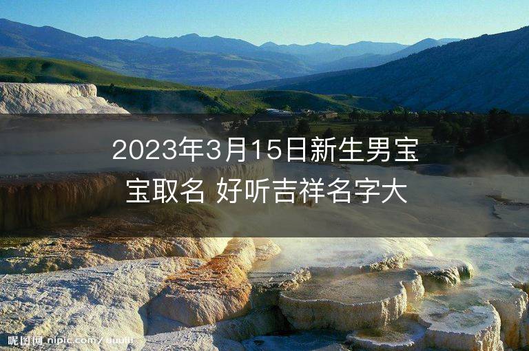 2023年3月15日新生男寶寶取名 好聽吉祥名字大全