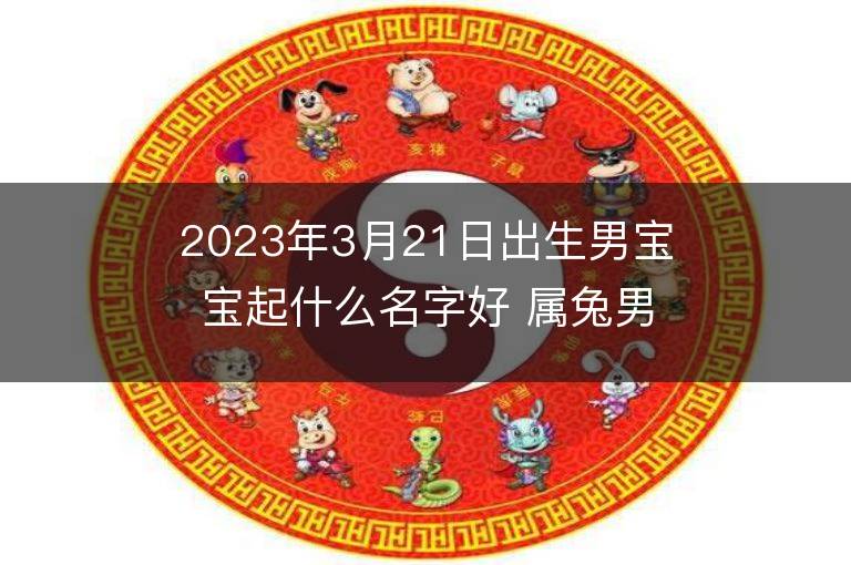 2023年3月21日出生男寶寶起什么名字好 屬兔男孩洋氣名字