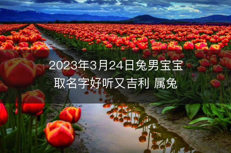 2023年3月24日兔男寶寶取名字好聽又吉利 屬兔男孩最吉利的名字