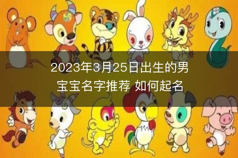 2023年3月25日出生的男寶寶名字推薦 如何起名