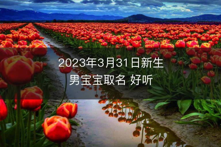 2023年3月31日新生男寶寶取名 好聽吉祥名字大全