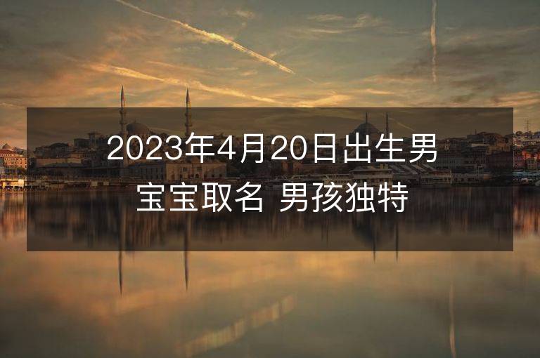 2023年4月20日出生男寶寶取名 男孩獨特好聽的兔寶寶名字