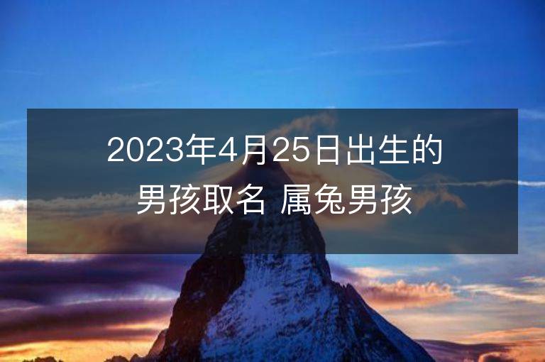 2023年4月25日出生的男孩取名 屬兔男孩有氣質名字