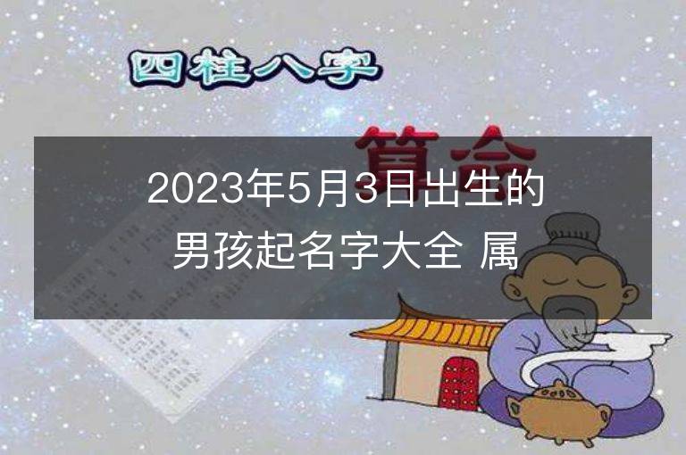 2023年5月3日出生的男孩起名字大全 屬兔男寶寶取名方法