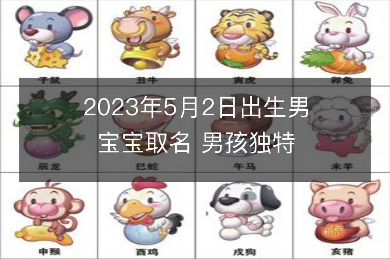 2023年5月2日出生男寶寶取名 男孩獨特好聽的兔寶寶名字