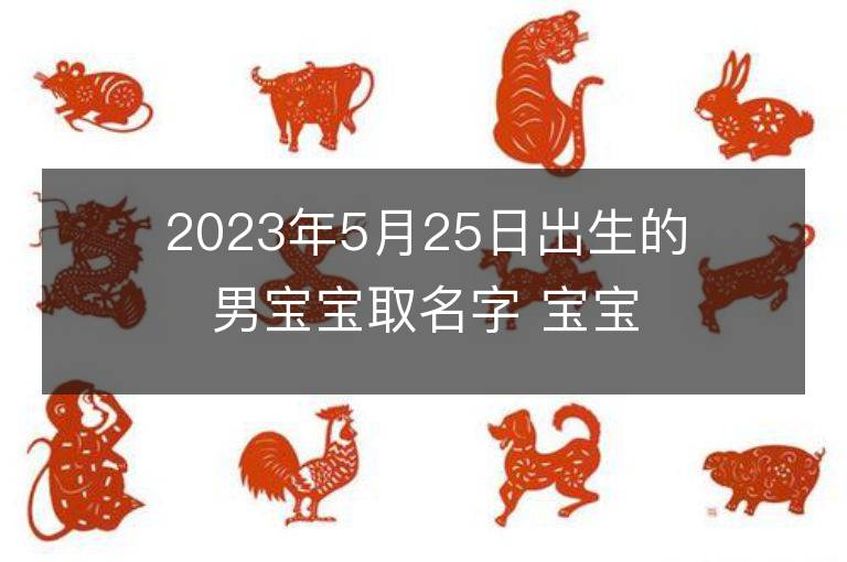 2023年5月25日出生的男寶寶取名字 寶寶起名免費取名字大全