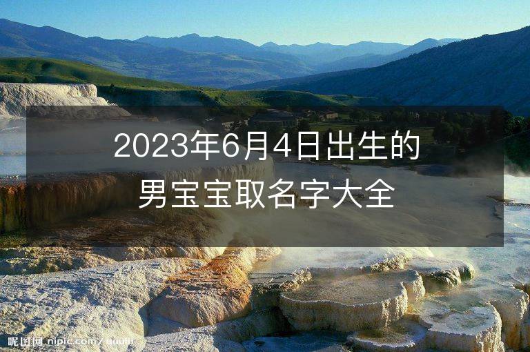 2023年6月4日出生的男寶寶取名字大全