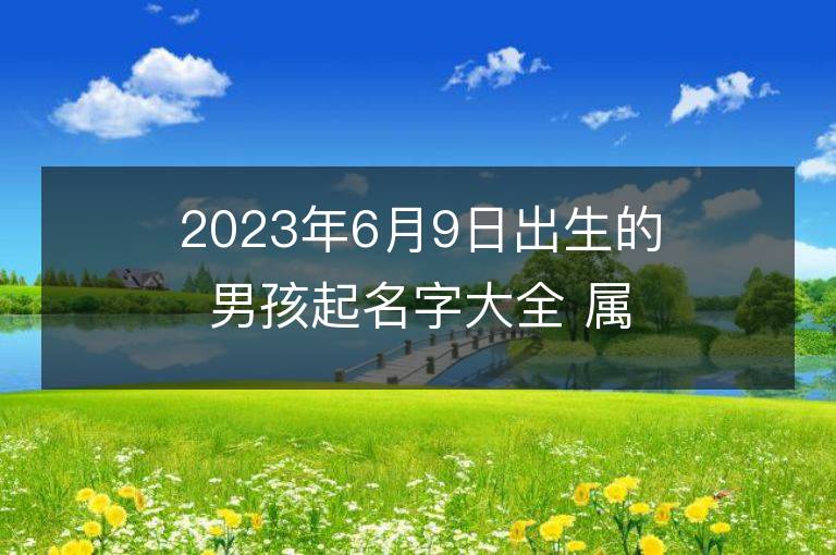 2023年6月9日出生的男孩起名字大全 屬兔男寶寶取名方法