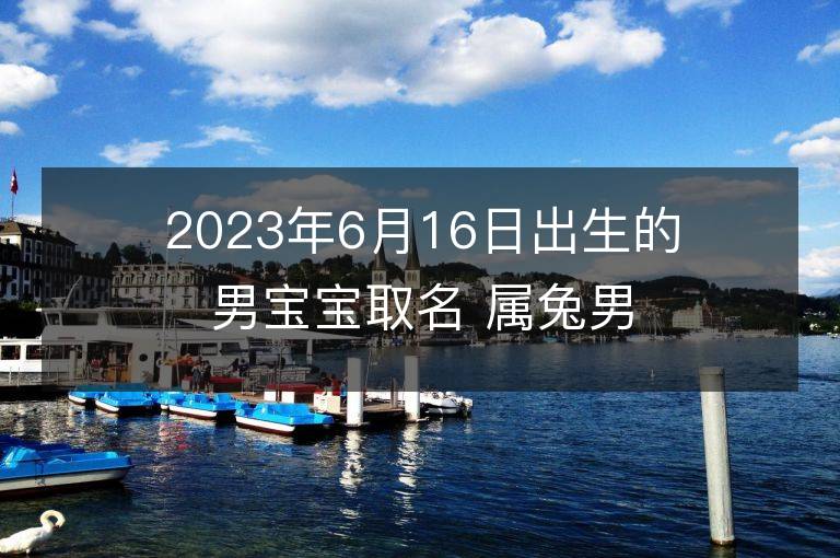 2023年6月16日出生的男寶寶取名 屬兔男孩名字推薦