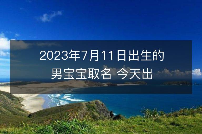 2023年7月11日出生的男寶寶取名 今天出生叫什么名字好