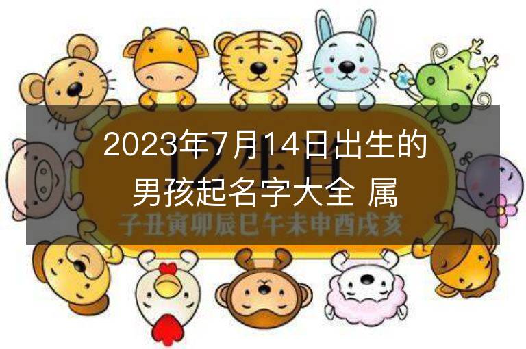 2023年7月14日出生的男孩起名字大全 屬兔男寶寶取名