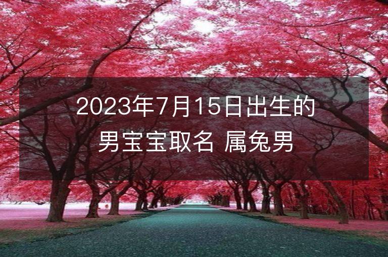 2023年7月15日出生的男寶寶取名 屬兔男孩名字推薦