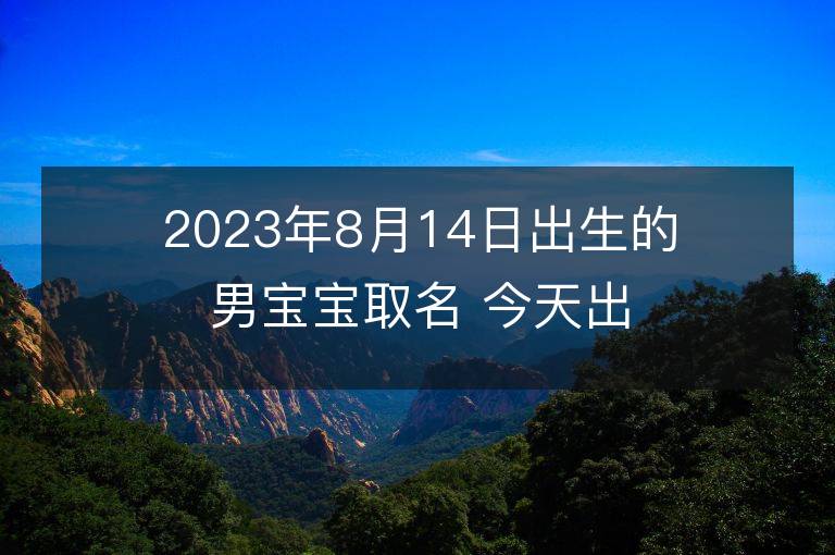 2023年8月14日出生的男寶寶取名 今天出生叫什么名字好