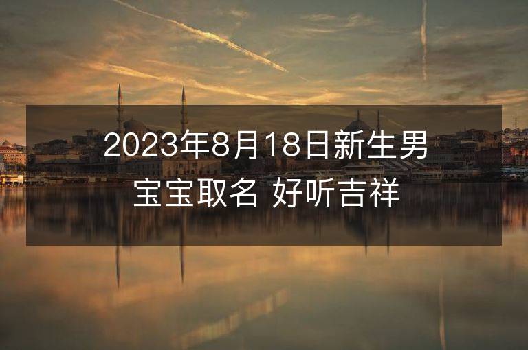 2023年8月18日新生男寶寶取名 好聽吉祥名字大全