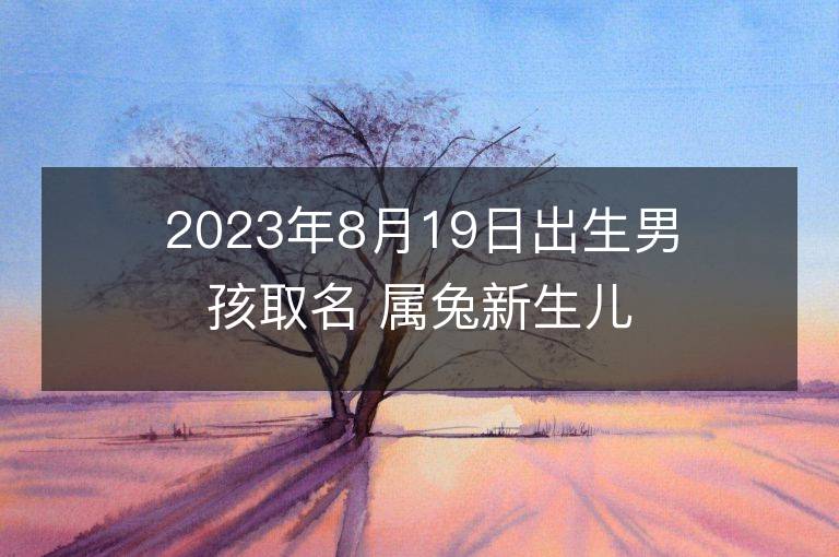 2023年8月19日出生男孩取名 屬兔新生兒高分好名