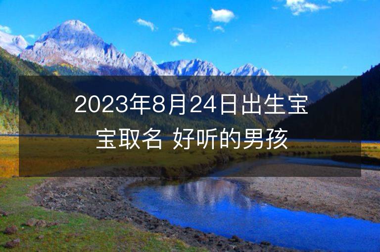 2023年8月24日出生寶寶取名 好聽的男孩名字