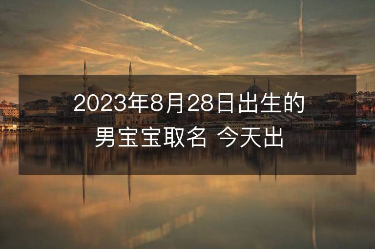 2023年8月28日出生的男寶寶取名 今天出生叫什么名字好