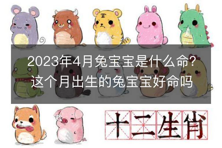 2023年4月兔寶寶是什么命？這個(gè)月出生的兔寶寶好命嗎？