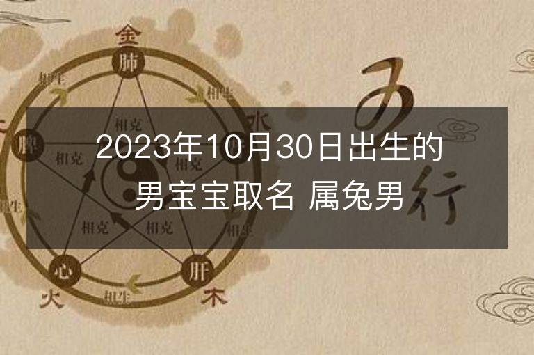 2023年10月30日出生的男寶寶取名 屬兔男孩名字推薦