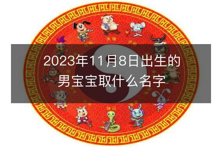 2023年11月8日出生的男寶寶取什么名字好