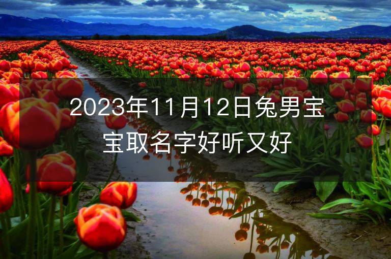 2023年11月12日兔男寶寶取名字好聽又好記