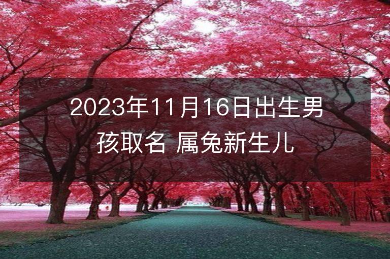 2023年11月16日出生男孩取名 屬兔新生兒高分好名