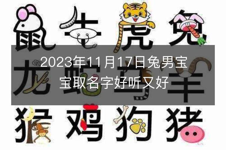 2023年11月17日兔男寶寶取名字好聽又好記