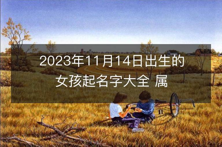 2023年11月14日出生的女孩起名字大全 屬兔女寶寶取名方法