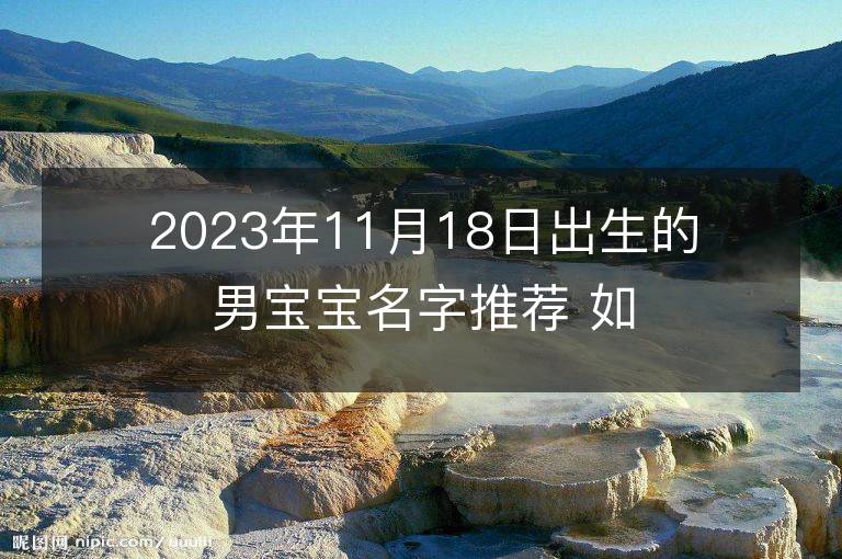 2023年11月18日出生的男寶寶名字推薦 如何起名