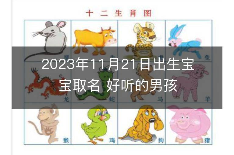 2023年11月21日出生寶寶取名 好聽的男孩名字