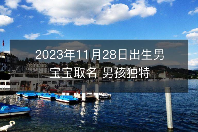 2023年11月28日出生男寶寶取名 男孩獨特好聽的兔寶寶名字