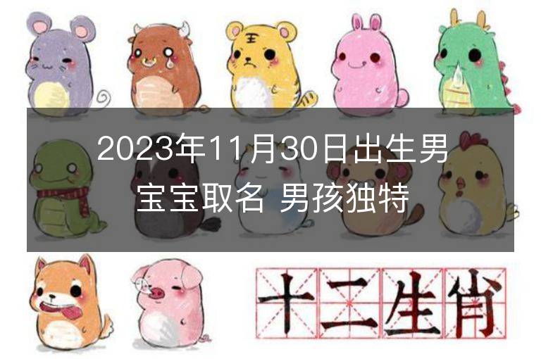 2023年11月30日出生男寶寶取名 男孩獨特好聽的兔寶寶名字