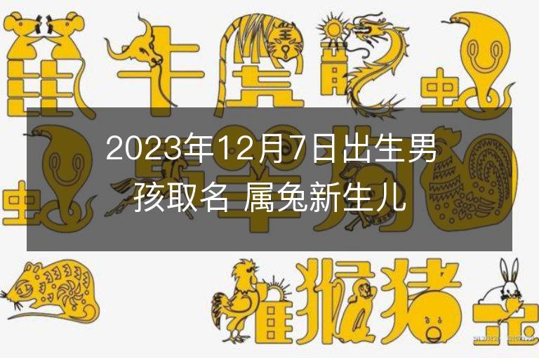 2023年12月7日出生男孩取名 屬兔新生兒高分好名