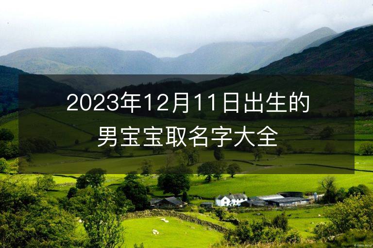 2023年12月11日出生的男寶寶取名字大全