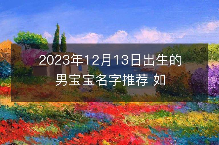 2023年12月13日出生的男寶寶名字推薦 如何起名