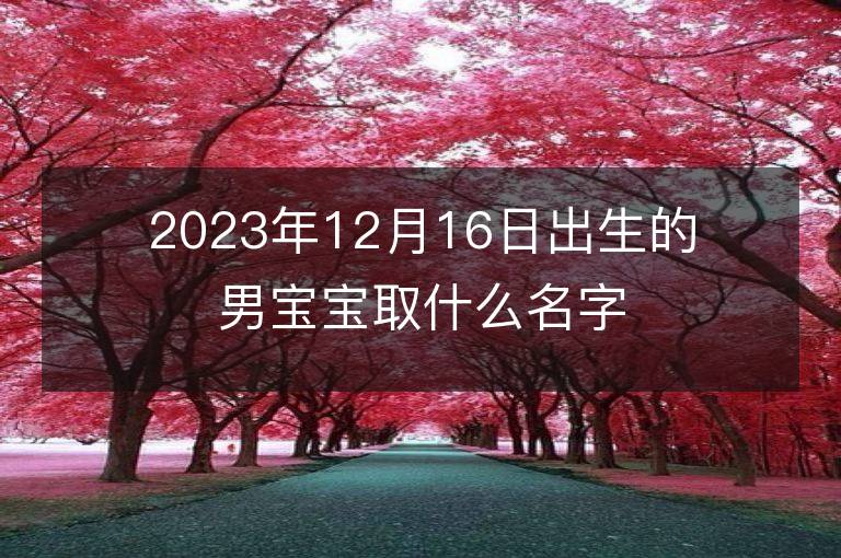 2023年12月16日出生的男寶寶取什么名字好