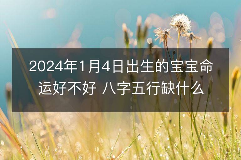 2024年1月4日出生的寶寶命運好不好 八字五行缺什么