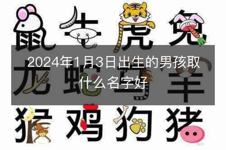 2024年1月3日出生的男孩取什么名字好