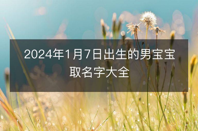 2024年1月7日出生的男寶寶取名字大全