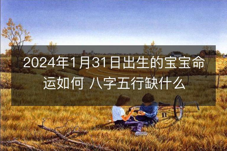 2024年1月31日出生的寶寶命運如何 八字五行缺什么