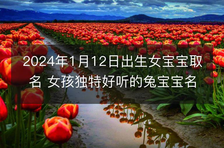 2024年1月12日出生女寶寶取名 女孩獨(dú)特好聽的兔寶寶名字