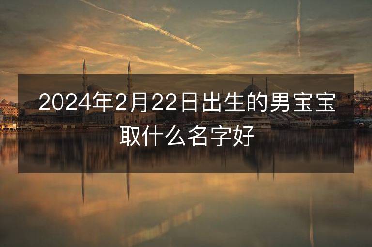 2024年2月22日出生的男寶寶取什么名字好