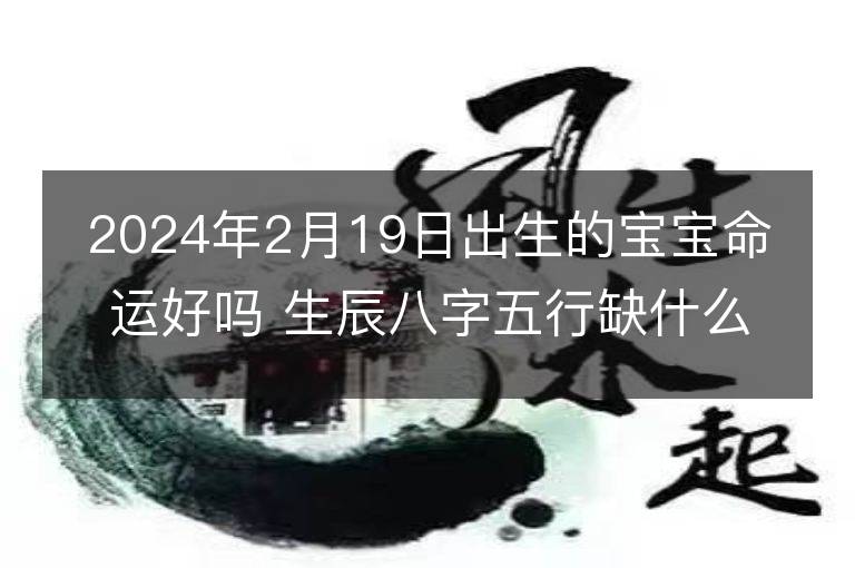 2024年2月19日出生的寶寶命運好嗎 生辰八字五行缺什么